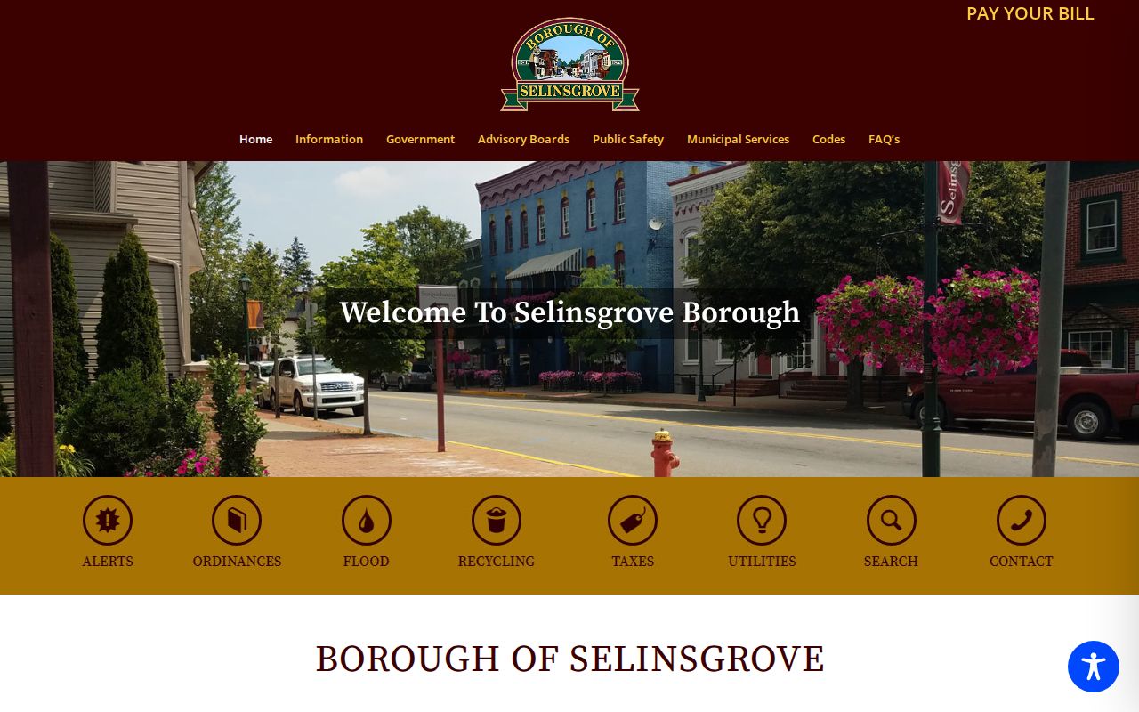 Selinsgrove borough government context for criminal history records